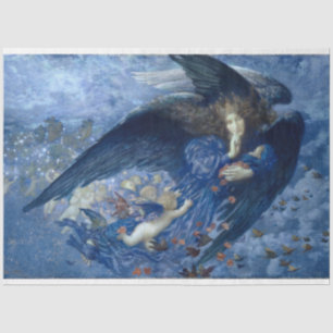 Seda Noche de ángel y papel de descomposición de estrel