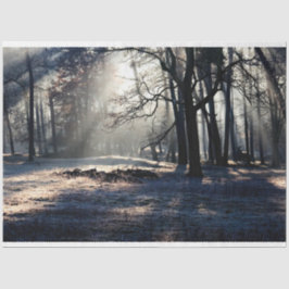 Seda Paisaje Forestal 23 Papel Tejido de Desnudos