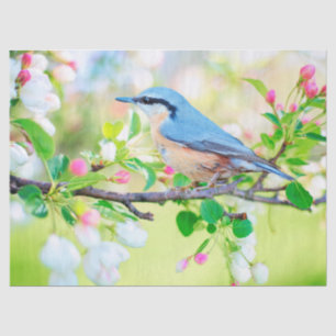 Seda pájaro en papel tisular de primavera