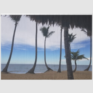 Seda Palmeras en el papel de tejidos Beach 1