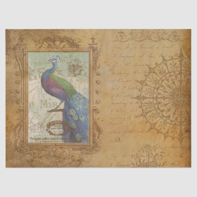 Seda Papel antiguo marrón marrón de pavo real (Anverso)