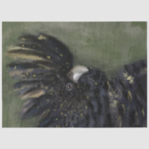 Papel australiano de desenlace de coca negra