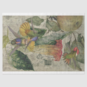 Seda Papel de collarín del colibrí de cosechas