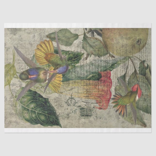 Seda Papel de collarín del colibrí de cosechas (Anverso)
