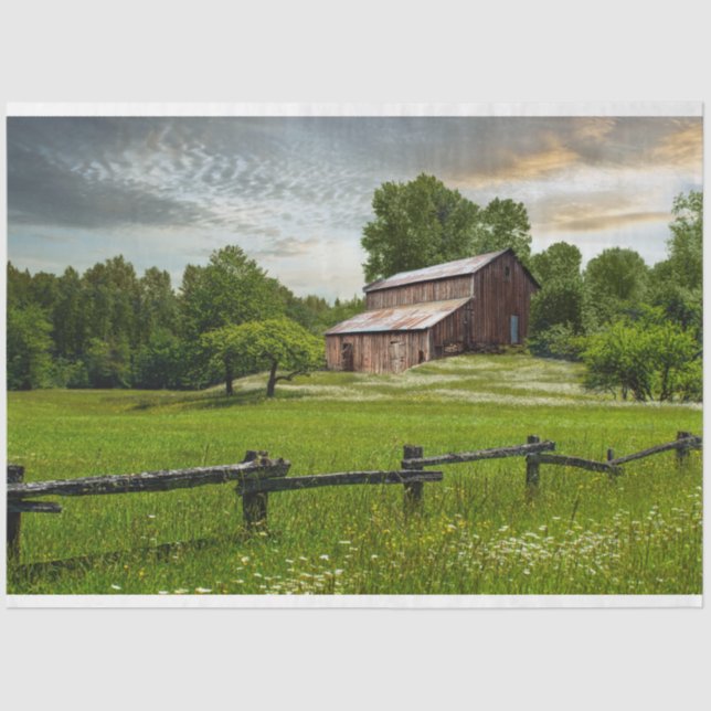 Seda Papel de debate de descomposición de la antigua gr (Anverso)