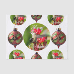 Seda Papel de debate de Hummingbird Navidades