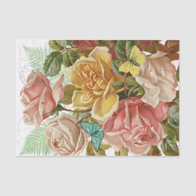 Seda Papel de debate nocturno (Anverso)