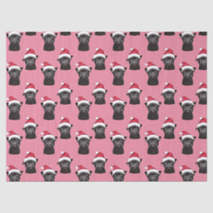 Seda Papel de debate sobre Navidades rosados del Bulldo