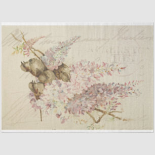 Seda Papel de depilación de muebles de mugre dulce