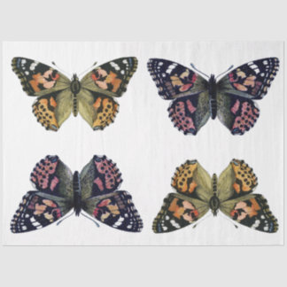 Seda Papel de desacoplamiento del elemento mariposa