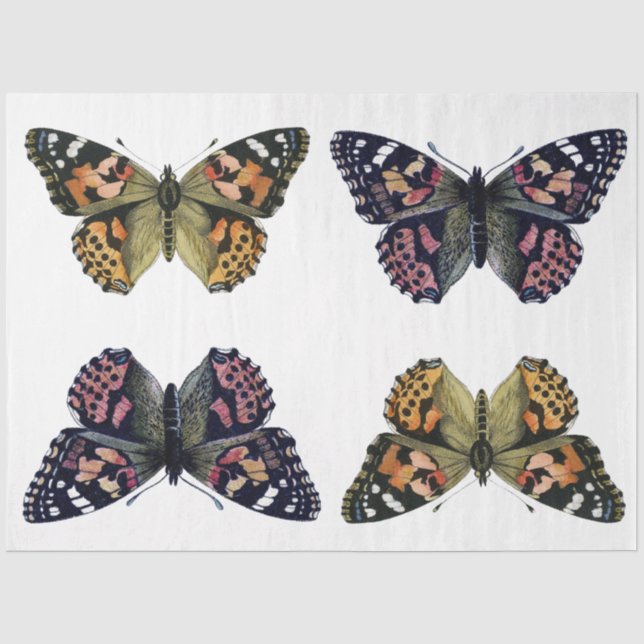 Seda Papel de desacoplamiento del elemento mariposa (Anverso)