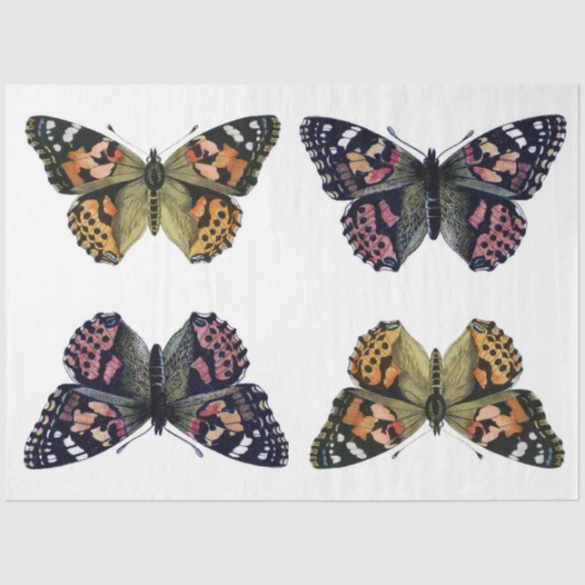 Seda Papel de desacoplamiento del elemento mariposa (Anverso)
