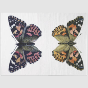 Seda Papel de desacoplamiento del elemento mariposa
