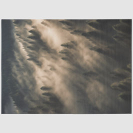 Seda Papel de descomposición - Amanecer del bosque húme