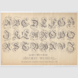 Seda Papel de descomposición de balonmano