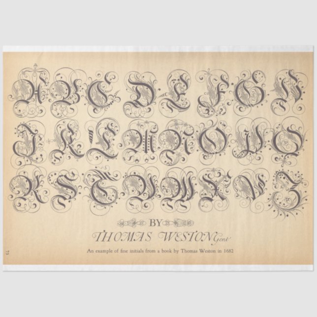 Seda Papel de descomposición de balonmano (Anverso)