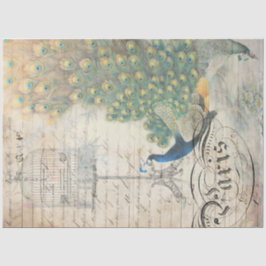 Seda Papel de descomposición de Ephemera de pavo real a