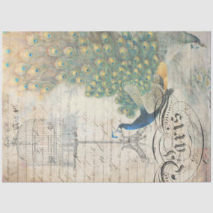 Seda Papel de descomposición de Ephemera de pavo real a