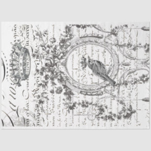 Seda Papel de descomposición de escritura de pájaro