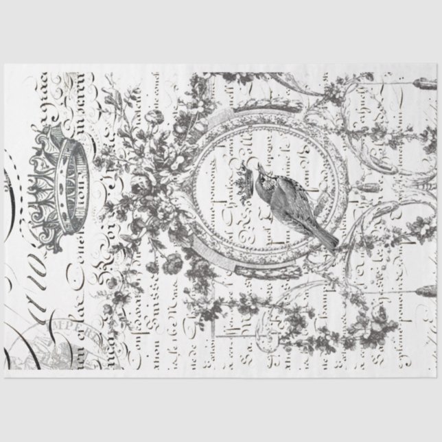 Seda Papel de descomposición de escritura de pájaro (Anverso)