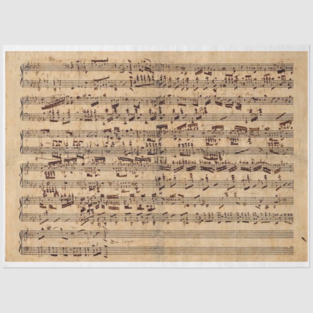 Seda Papel de descomposición de hojas de Chopin (Anverso)