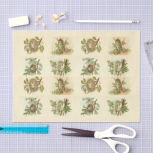 Seda Papel de descomposición de Ilustraciones de nido d