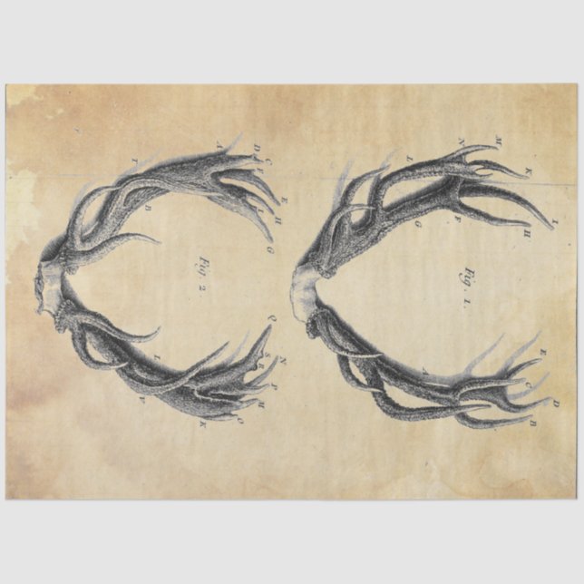 Seda Papel de descomposición de la barra de herramienta (Anverso)