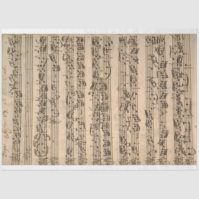 Seda Papel de descomposición de la música de la hoja de (Anverso)