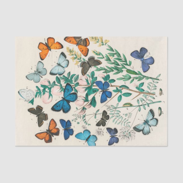 Seda Papel de descomposición de mariposa de época Flora (Anverso)
