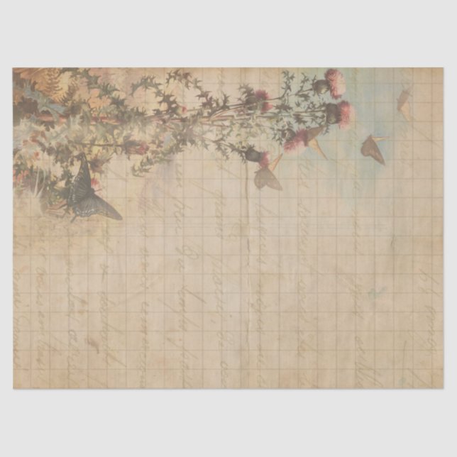 Seda Papel de descomposición de mariposas y silbatos (Anverso)
