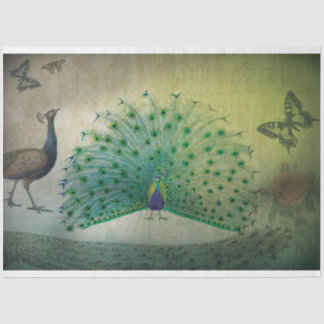 Seda Papel de descomposición de pavo real