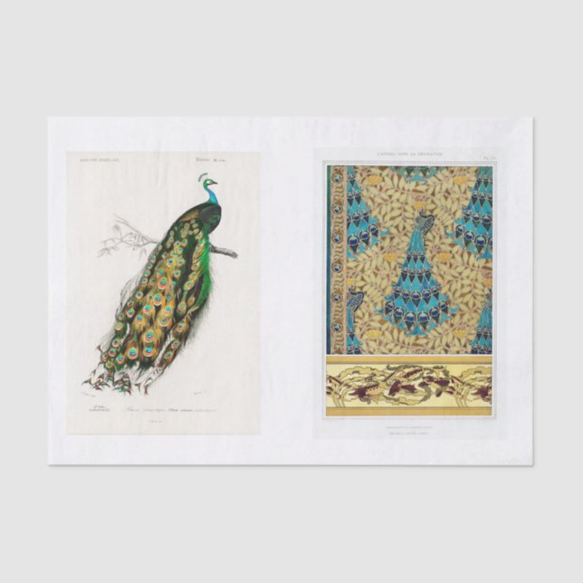 Seda Papel de descomposición de pavo real (Anverso)