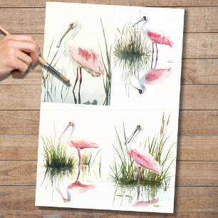Seda Papel de descomposición de Spoonbill Collage 2