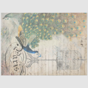 Seda Papel de descomposición del epílogo del pavo real 