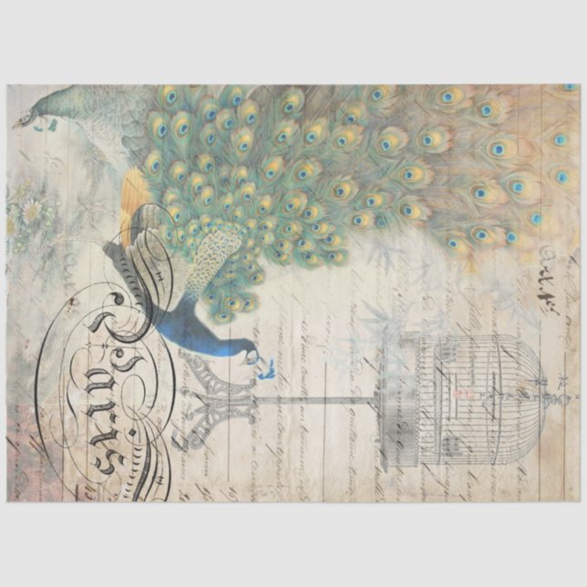 Seda Papel de descomposición del epílogo del pavo real  (Anverso)