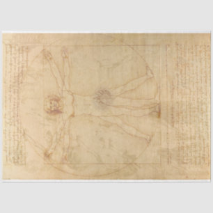 Seda Papel de descomposición del hombre vitruviano Da V