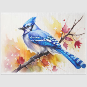 Seda Papel de descomposición del Jay 1 azul