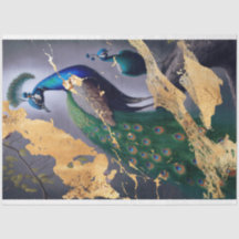 Papel de descomposición del tejido del pavo real d