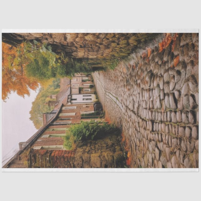 Seda Papel de descomposición, envolvimiento, - Eleganci (Anverso)