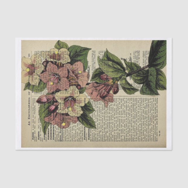 Seda Papel de descomposición floral vintage (Anverso)