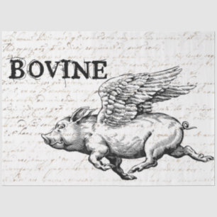 Seda Papel de desconchado de cerdo volador