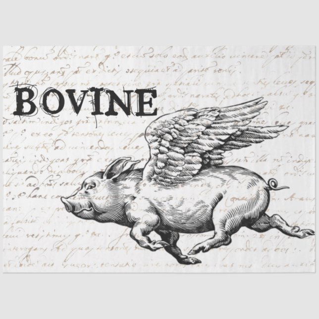 Seda Papel de desconchado de cerdo volador (Anverso)