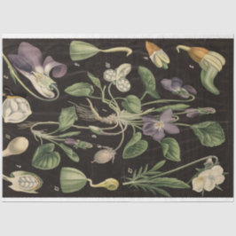 Seda Papel de desconchura de pasteles dulce