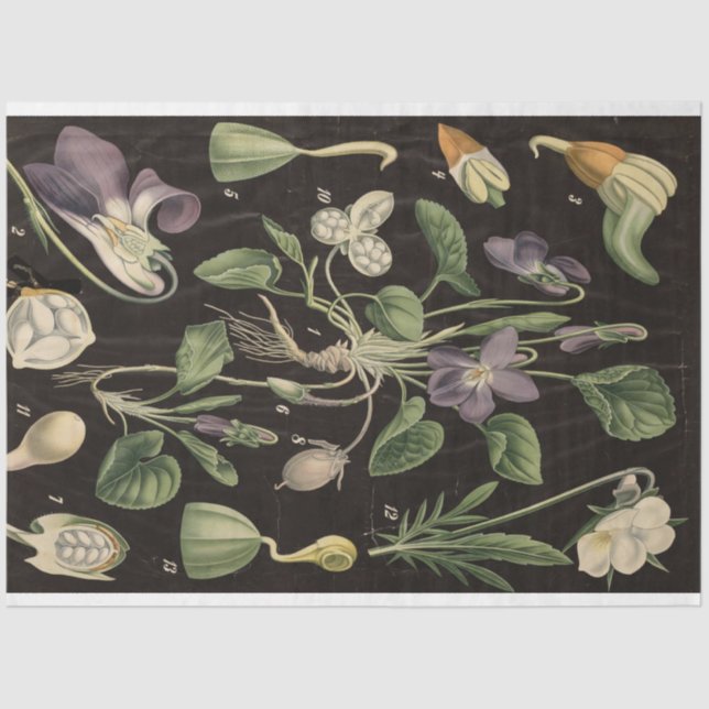 Seda Papel de desconchura de pasteles dulce (Anverso)