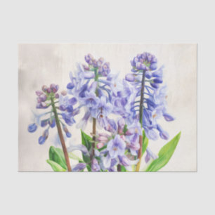 Seda Papel de desconexión BLUEBELLS