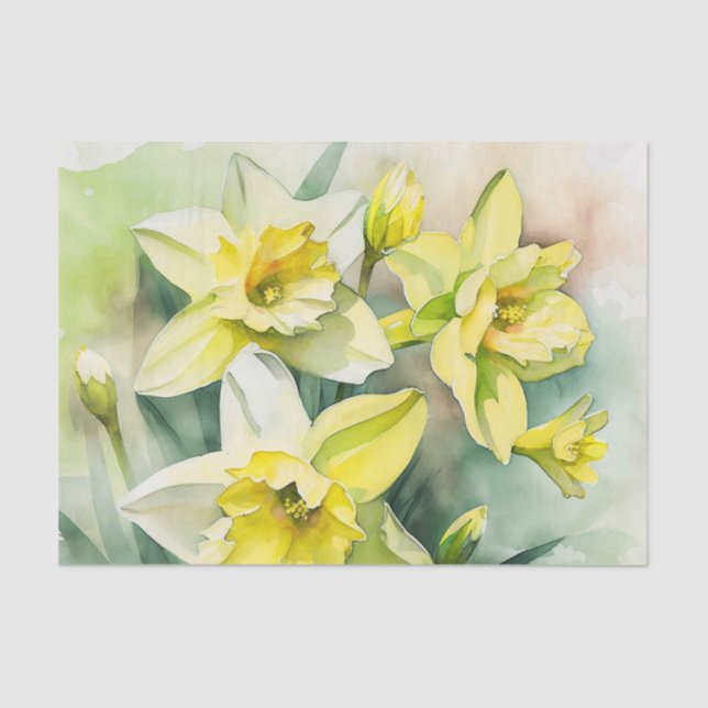 Seda Papel de desconexión de DAFFODILS (Anverso)