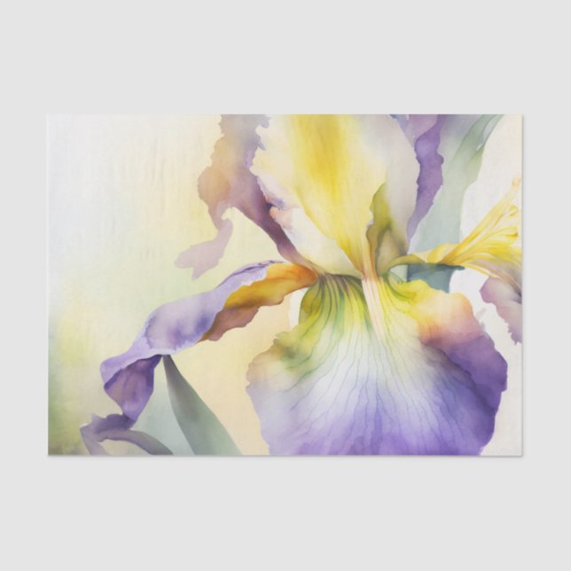 Seda Papel de desconexión de IRIS (Anverso)