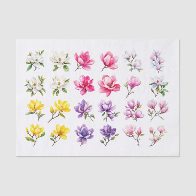 Seda Papel de desconexión de la gama Magnolia (Anverso)