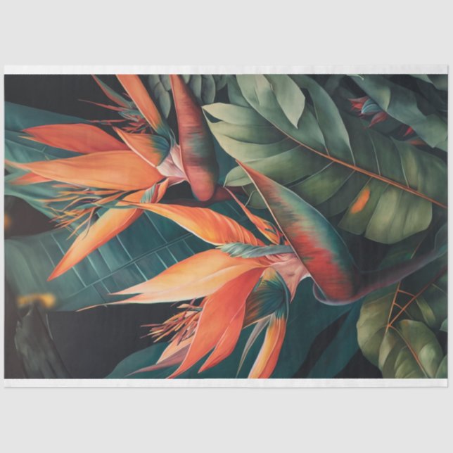 Seda Papel de desconexión, envolvimiento, - Esplendor d (Anverso)