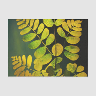 Seda Papel de desenlace de FERN de MEDIANOCHE